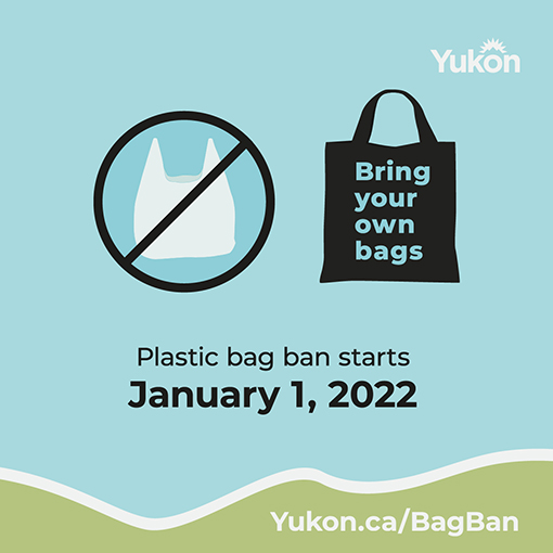 Plastic bag ban starts January 1, 2022