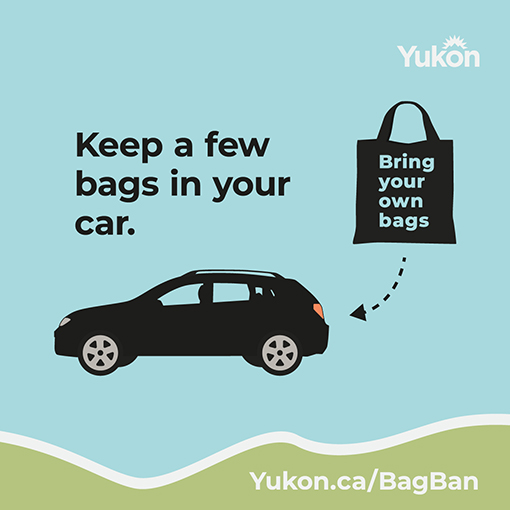 Reminder to keep bags in the car
