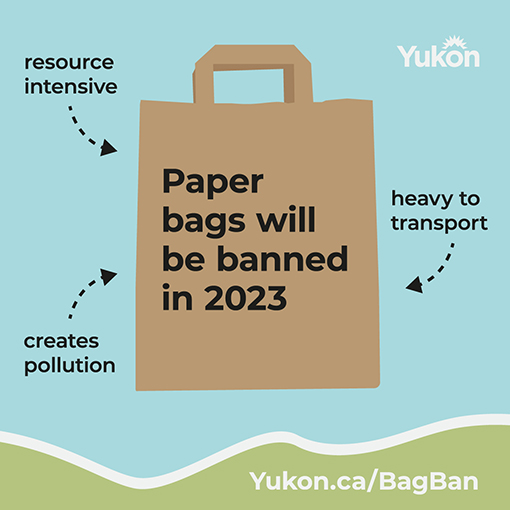 Paper bags will be banned in 2023 (resource intensive, creates pollution, heavy to transport)