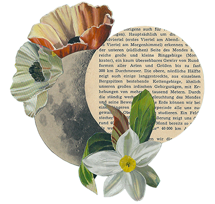 Collage flower moon