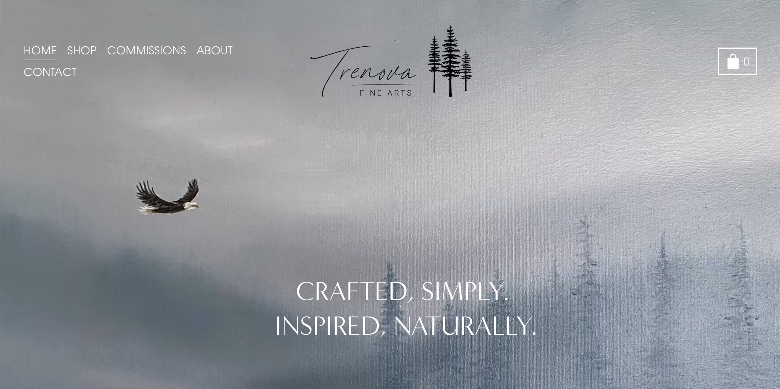 logo design Trenova's Landing page with logo