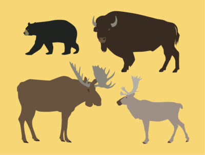 vector illustration - animals